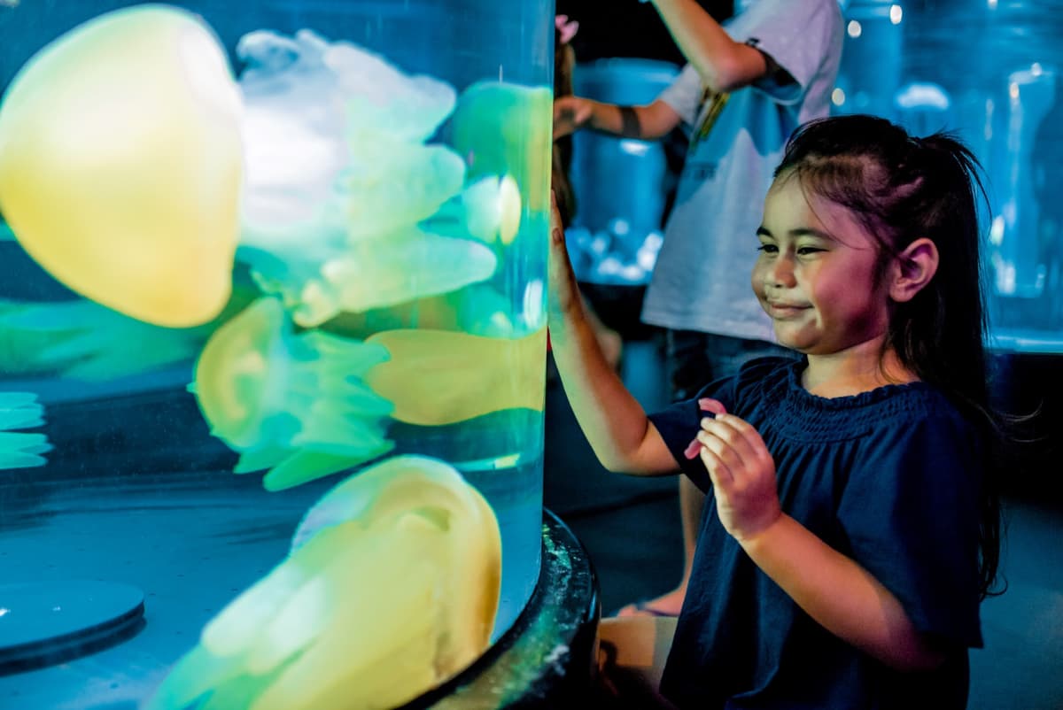 SEA LIFE Sydney Aquarium Direct Entry Ticket