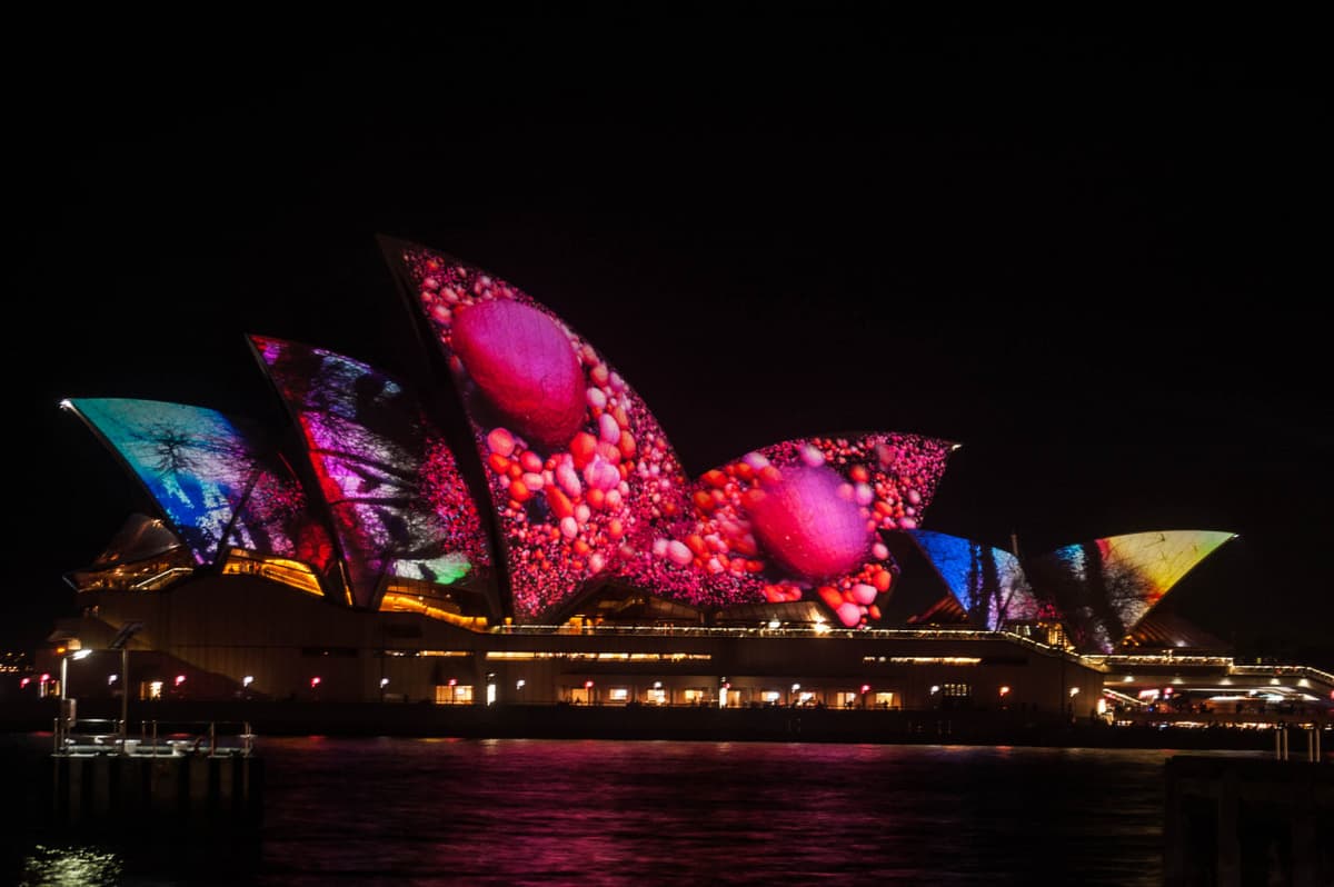 Vivid Festival of Light and Sound Cruise with Buffet Dinner aboard Sydney Princess Cruises