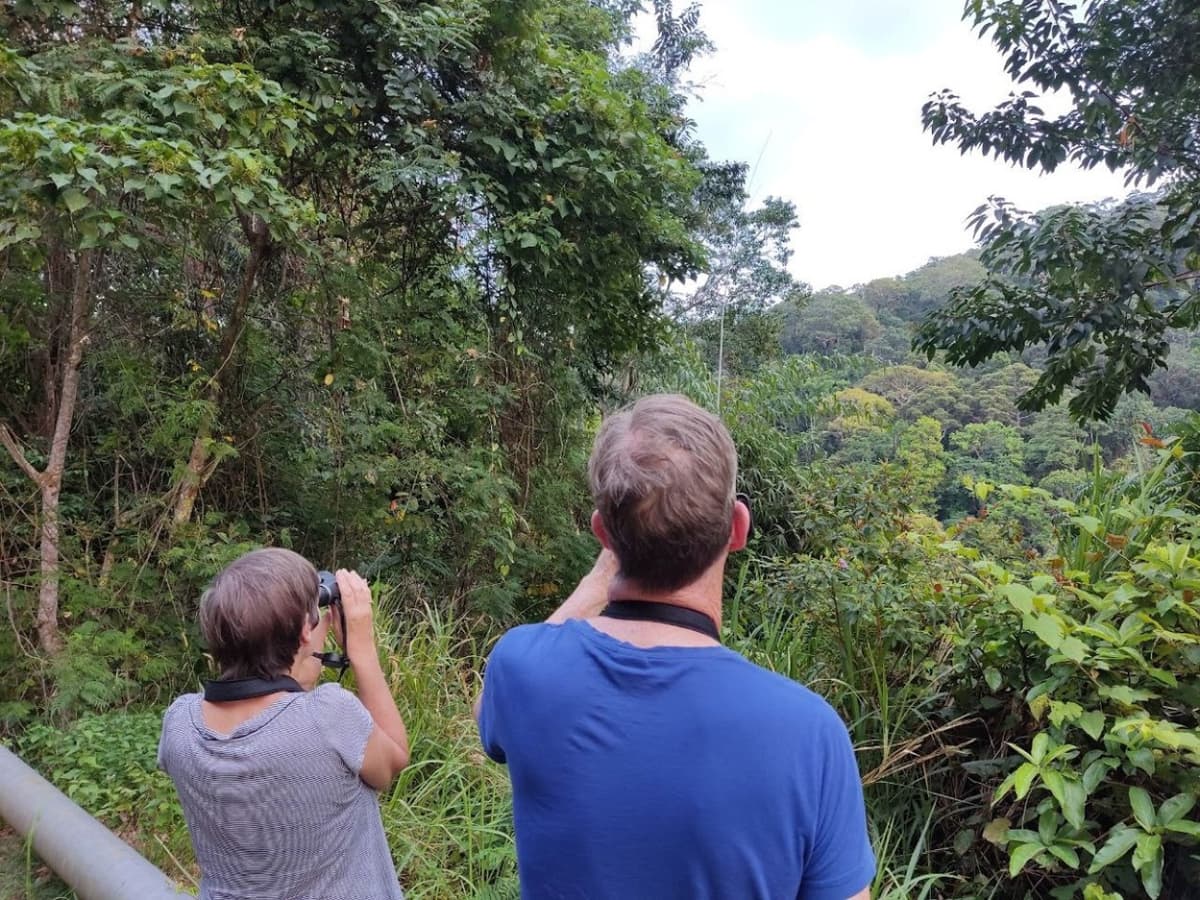 Langkawi Birdwatching Experience with Round Trip Transfer