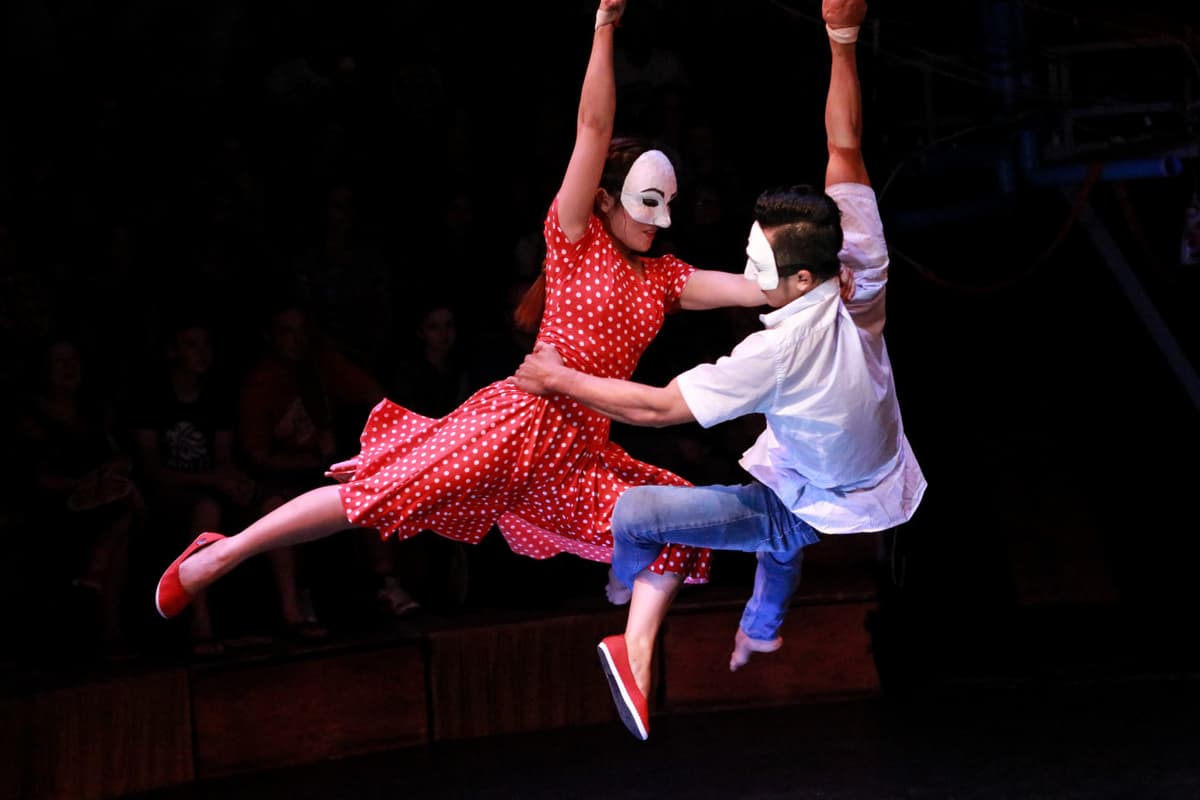 Phare, The Cambodian Circus