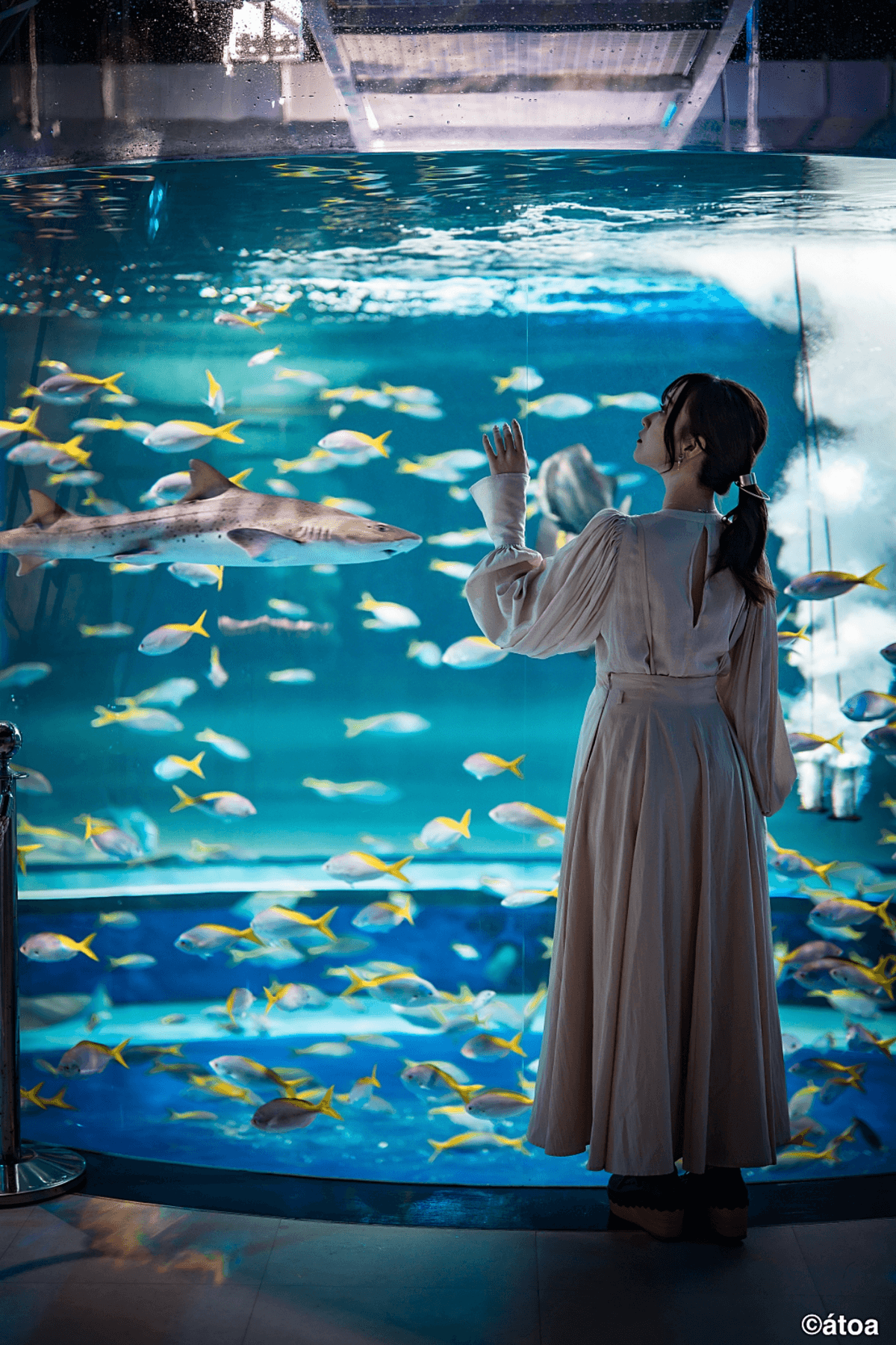 Kobe Urban AQUARIUM×ART atoa