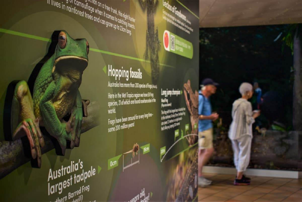 Skyrail Rainforest Cableway with Optional Kuranda Scenic Train Ticket and Hotel Pick-Up