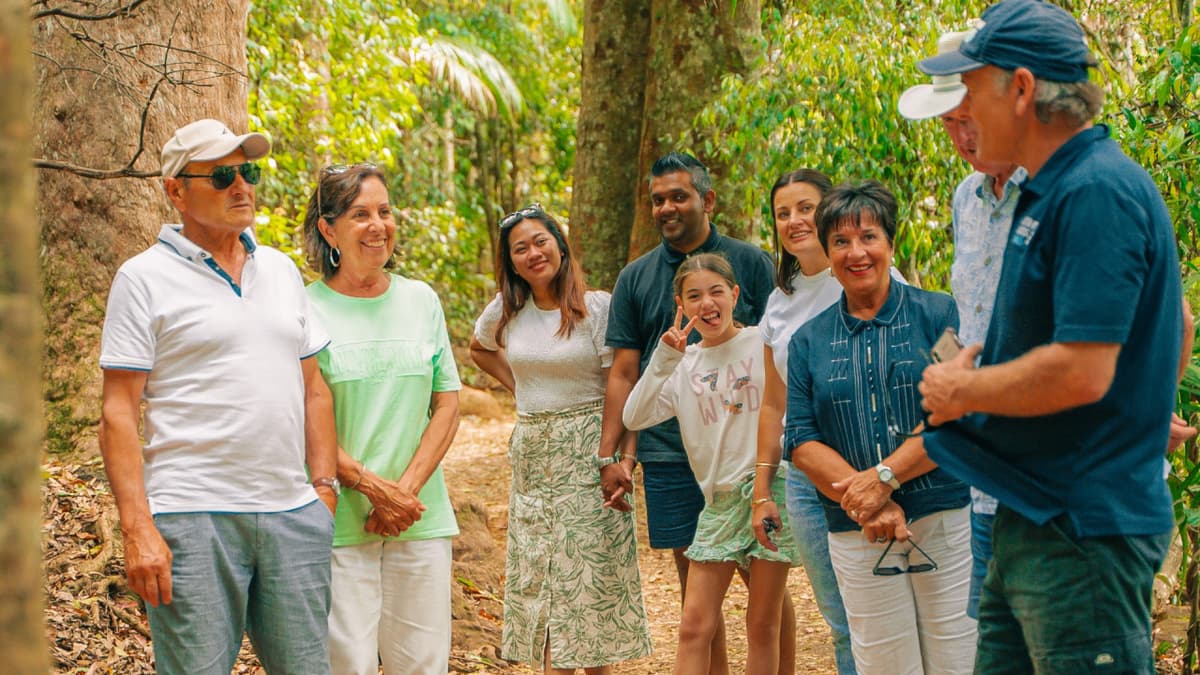 Kangaroos and Koalas Tour with Morning Tea from Gold Coast