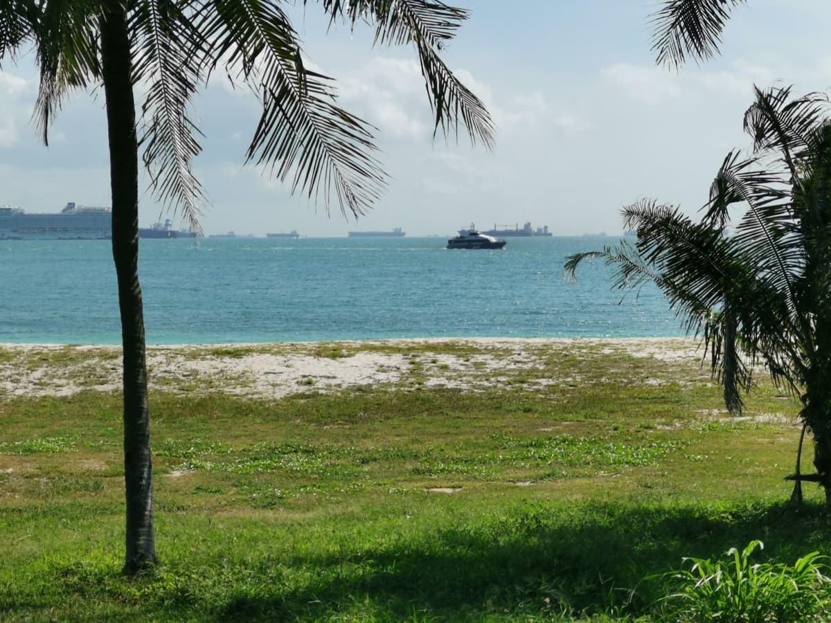 Singapore Island Cruise - St. John's Island, Lazarus Island, and Kusu Island by Ferry