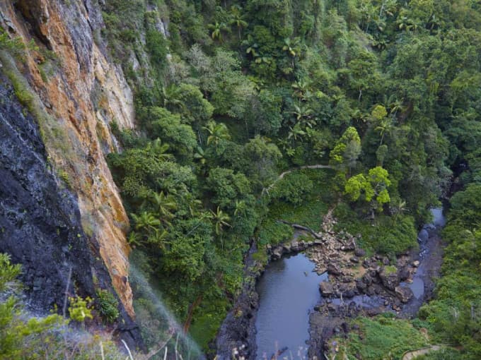 Lamington National Park and O'Reilly Tour from Brisbane