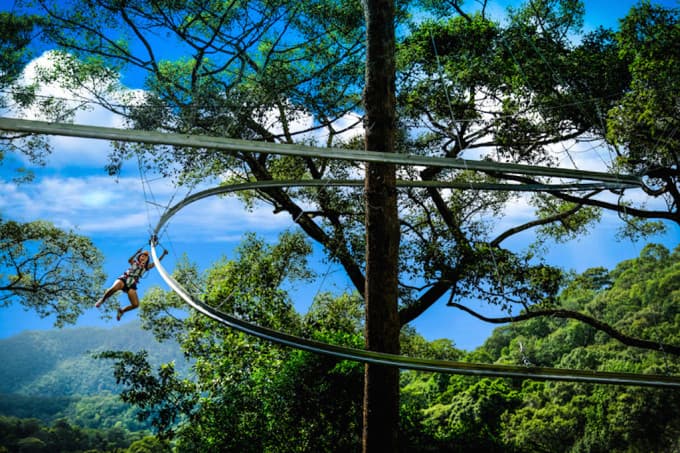 Jungle Flight Zipline Adventure