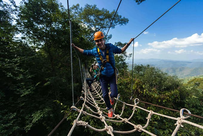 Jungle Flight Zipline Adventure