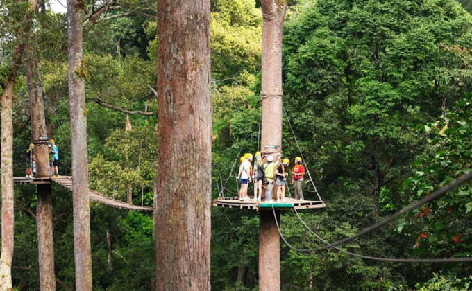 Jungle Flight Zipline Adventure