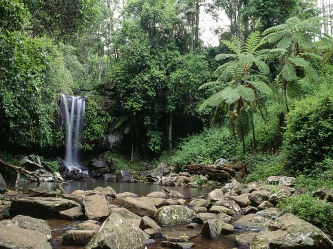 Lamington National Park and O'Reilly Tour from Brisbane