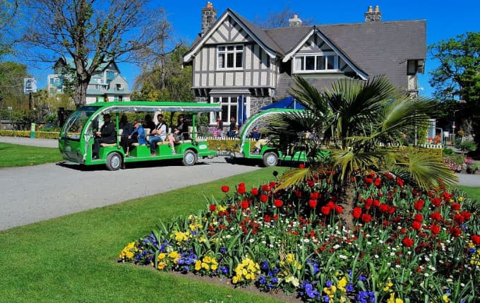 Christchurch Tram Day Pass