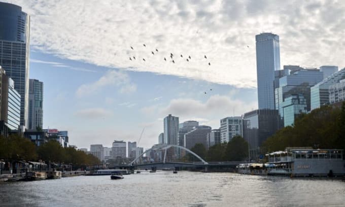 Melbourne Yarra River Sightseeing Cruise - 50 Minutes