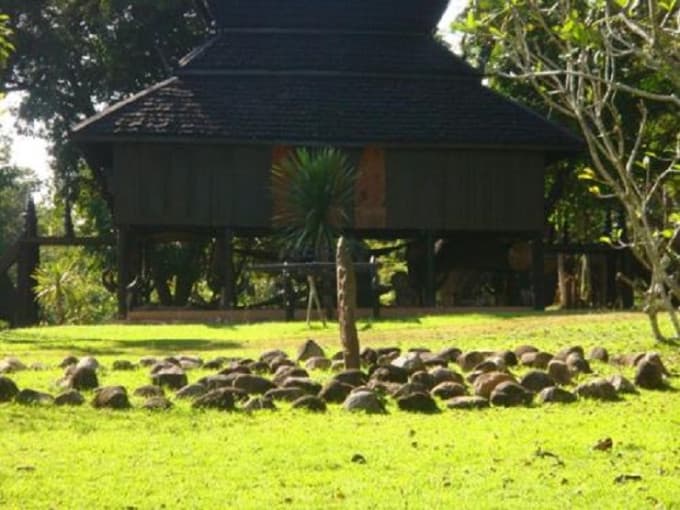 Chiang Rai Temple Tour from Chiang Mai