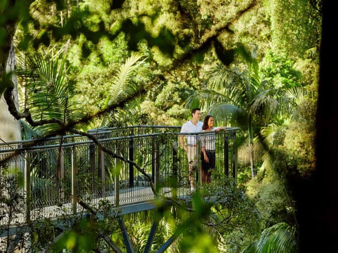 O'Reilly's Green Mountains Tour from the Gold Coast