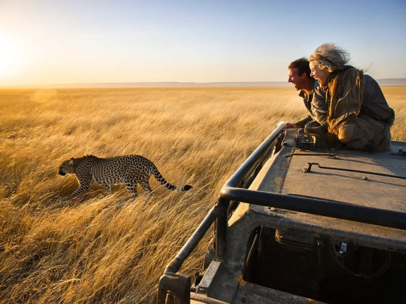 Serengeti Safari — 3-Day Private Tour